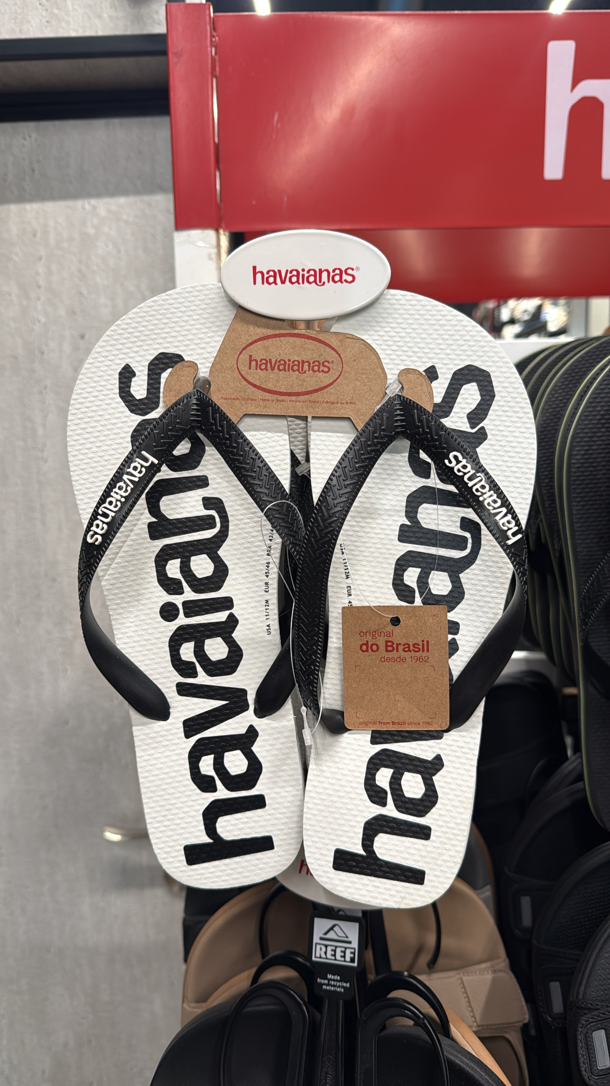 71A02BC9-C574-4169-9D7B-DF0F8E05E59C